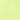 neon yellow
