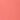 tropical guava