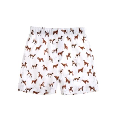 Boys' print cotton boxers