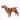 dogs