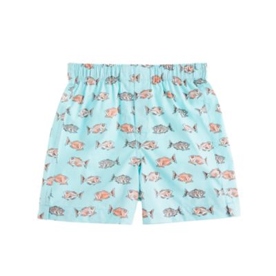 Boys' print cotton boxers