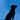 cerulean blue