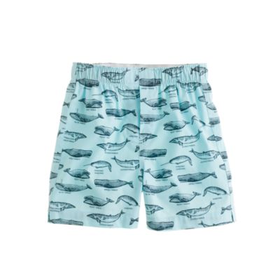 Boys' print cotton boxers