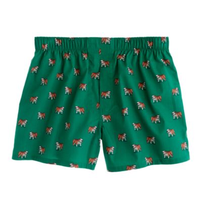 A dog's life boxers