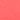 tropical guava