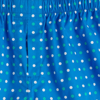 Multicolor dot boxers