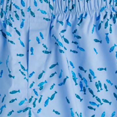 Swimming fish boxers