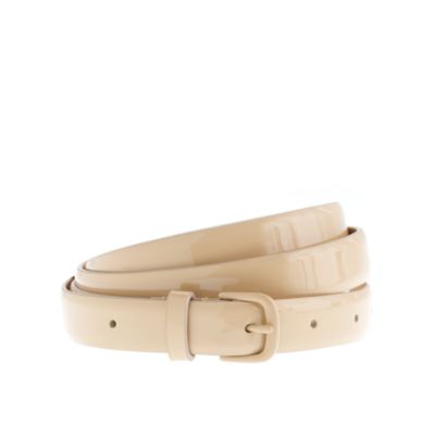 Enameled belt