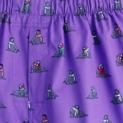 Winter Walrus boxers