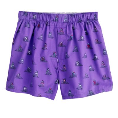 Winter Walrus boxers