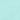 fresh mint jackie shell