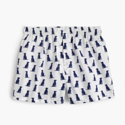 Lab silhouette boxers