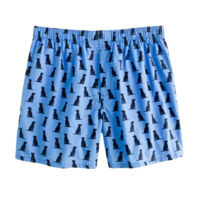 Lab silhouette boxers