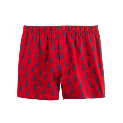 Lab silhouette boxers