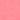 neon rose scout chino
