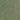 classic green cargo scout chino