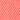 neon rose girls' cuffed chino short