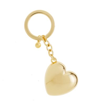 Heart key chain