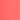 neon rose