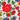 deep poppy liberty bow tie in emma and georgina floral