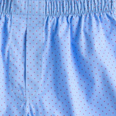 Microdot boxers