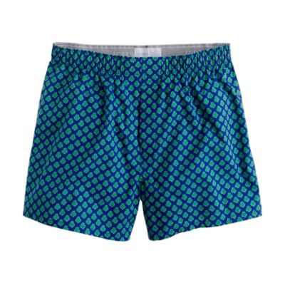 Shamrock boxers