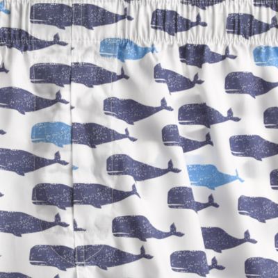 Distressed whales boxers