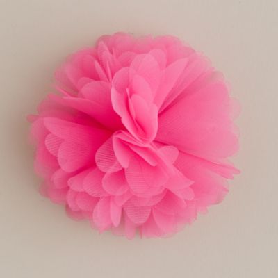 Girls' flower snap clip