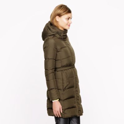 Wintress puffer