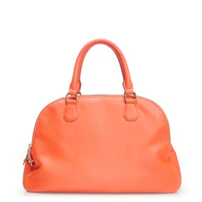 Biennial satchel