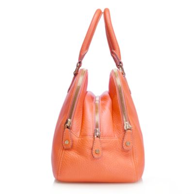 Biennial satchel