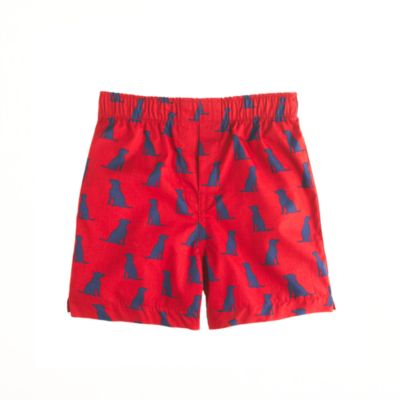 Boys' animal print cotton boxers