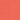 vibrant coral
