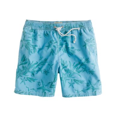 6" swim trunks in starfish print