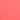 vibrant coral