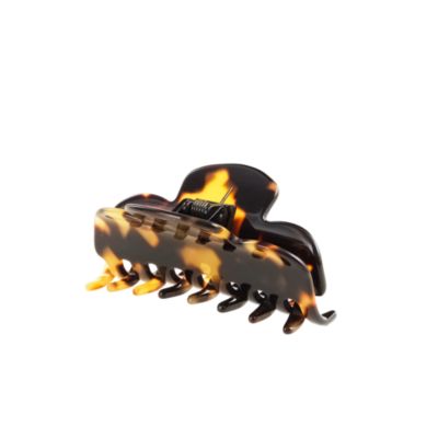 Tortoise small claw
