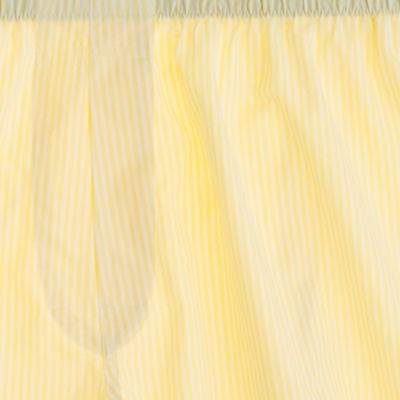 Awning-stripe boxers
