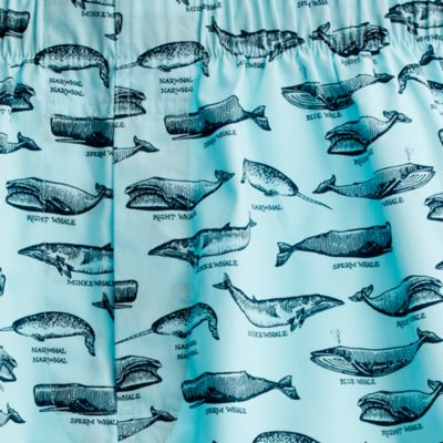 Big whales boxers