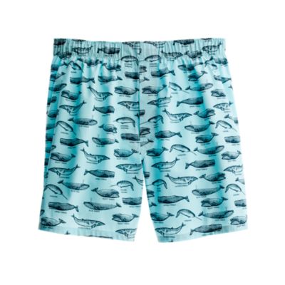Big whales boxers