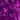 bold purple