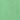 neon kiwi 11