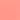 tropical guava