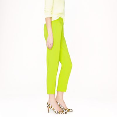 Collection curator pant
