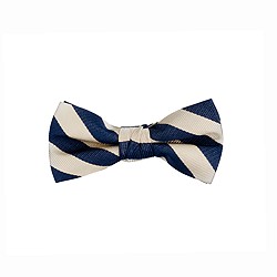 Boys' stripe silk bow tie