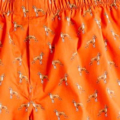 Kennel boxers