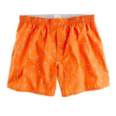 Kennel boxers